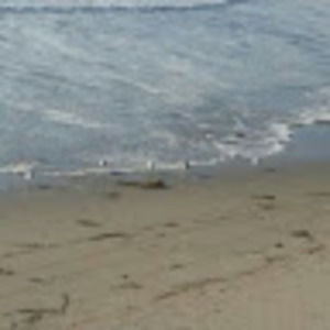 Meet your Posher, Adam